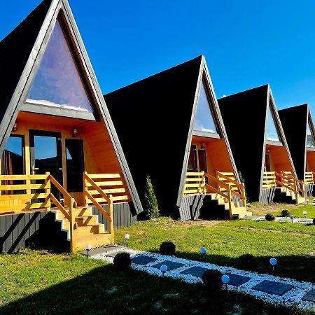 A-Frame Bucovina- Paradis Bucovinean Capu Cîmpului Exteriör bild