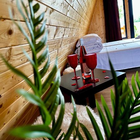 A-Frame Bucovina- Paradis Bucovinean Capu Cîmpului Exteriör bild