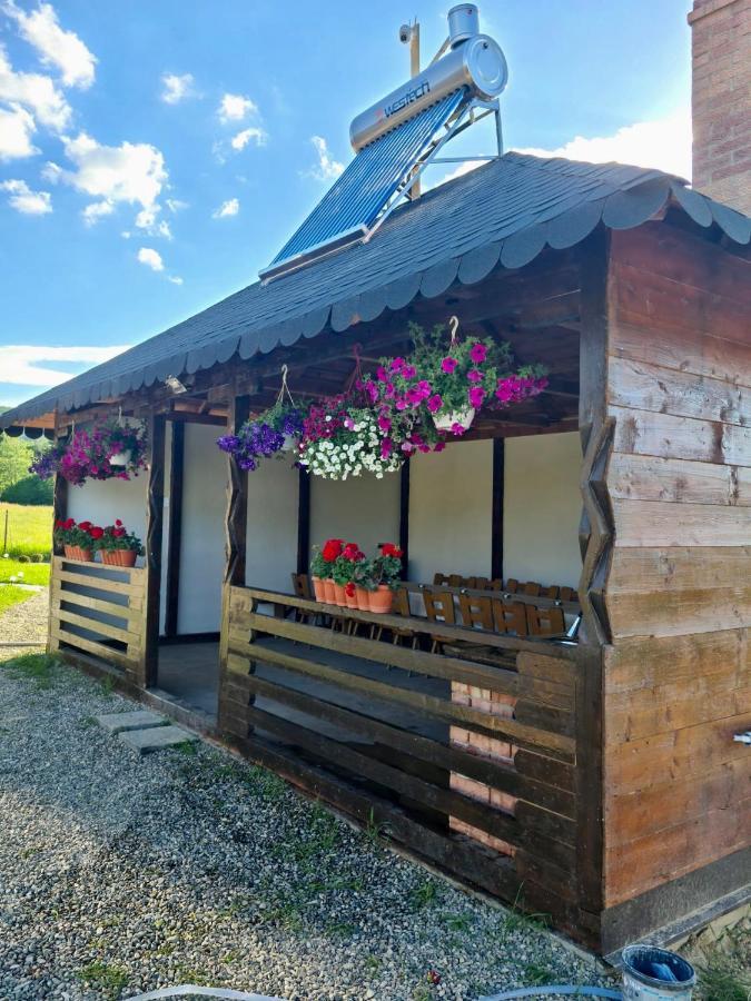 A-Frame Bucovina- Paradis Bucovinean Capu Cîmpului Exteriör bild