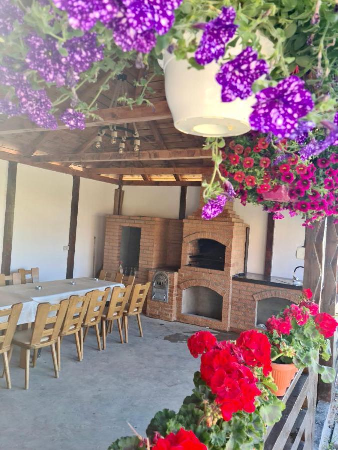 A-Frame Bucovina- Paradis Bucovinean Capu Cîmpului Exteriör bild