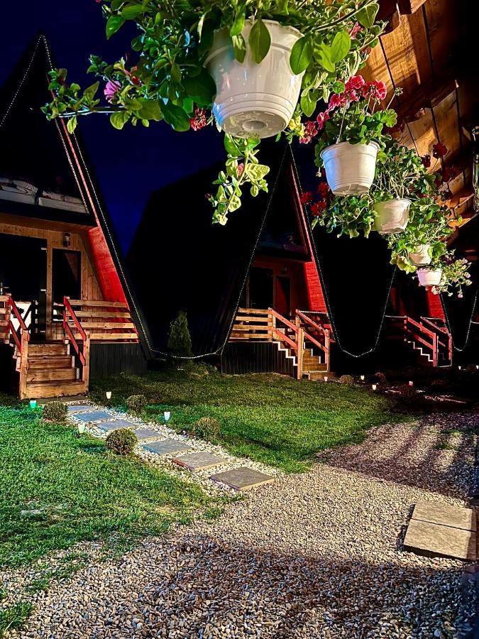 A-Frame Bucovina- Paradis Bucovinean Capu Cîmpului Exteriör bild